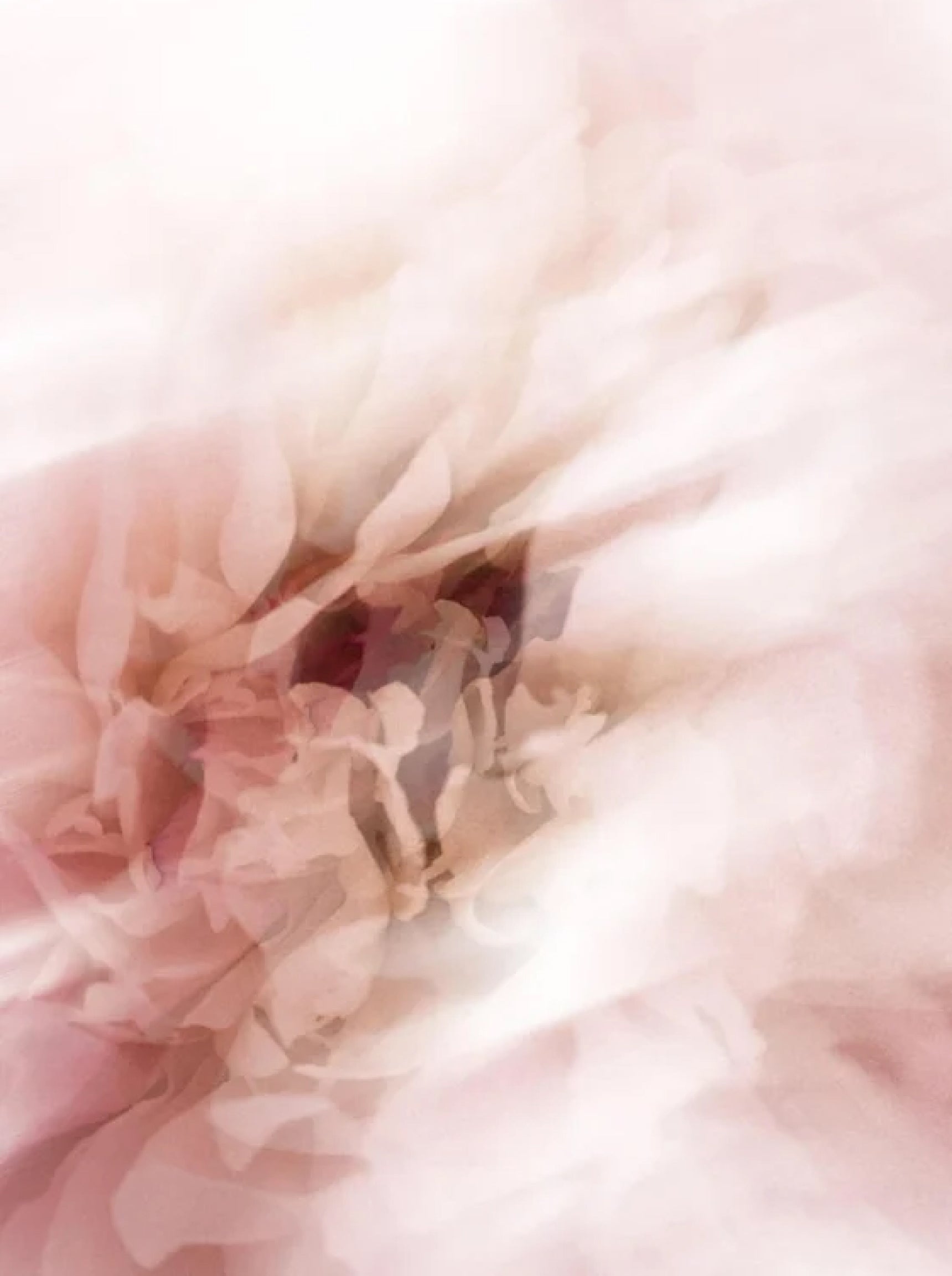 HYDRA-LIFT™ Anti-aging Day Cream