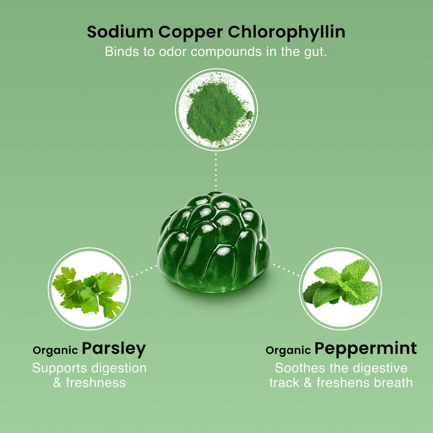 Body Odor Neutralizer Gummies