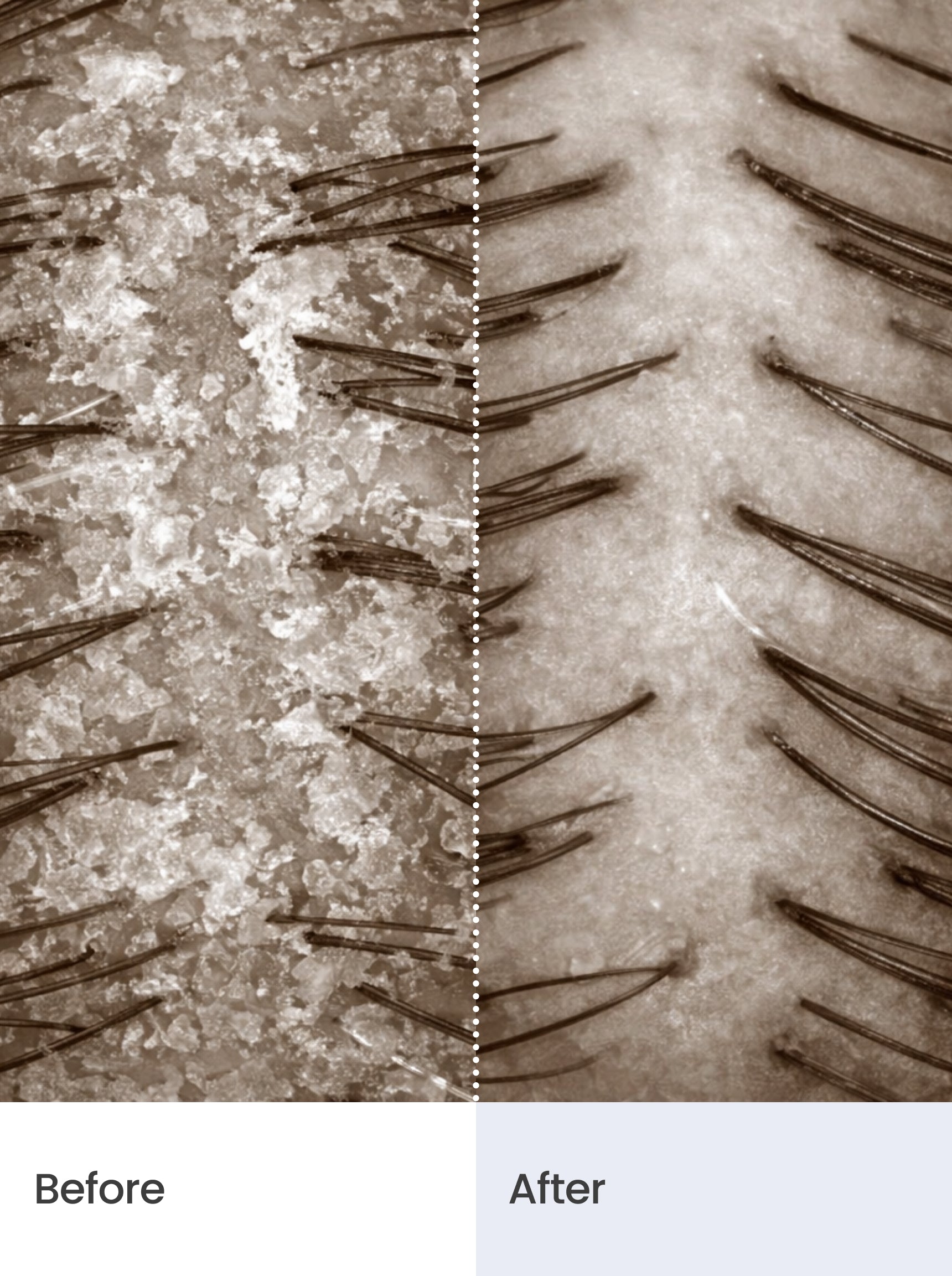 DEEP DETOX & SCALP ACTIVATION SCRUB