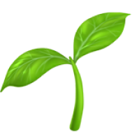 THE PREBIOTIC FUEL