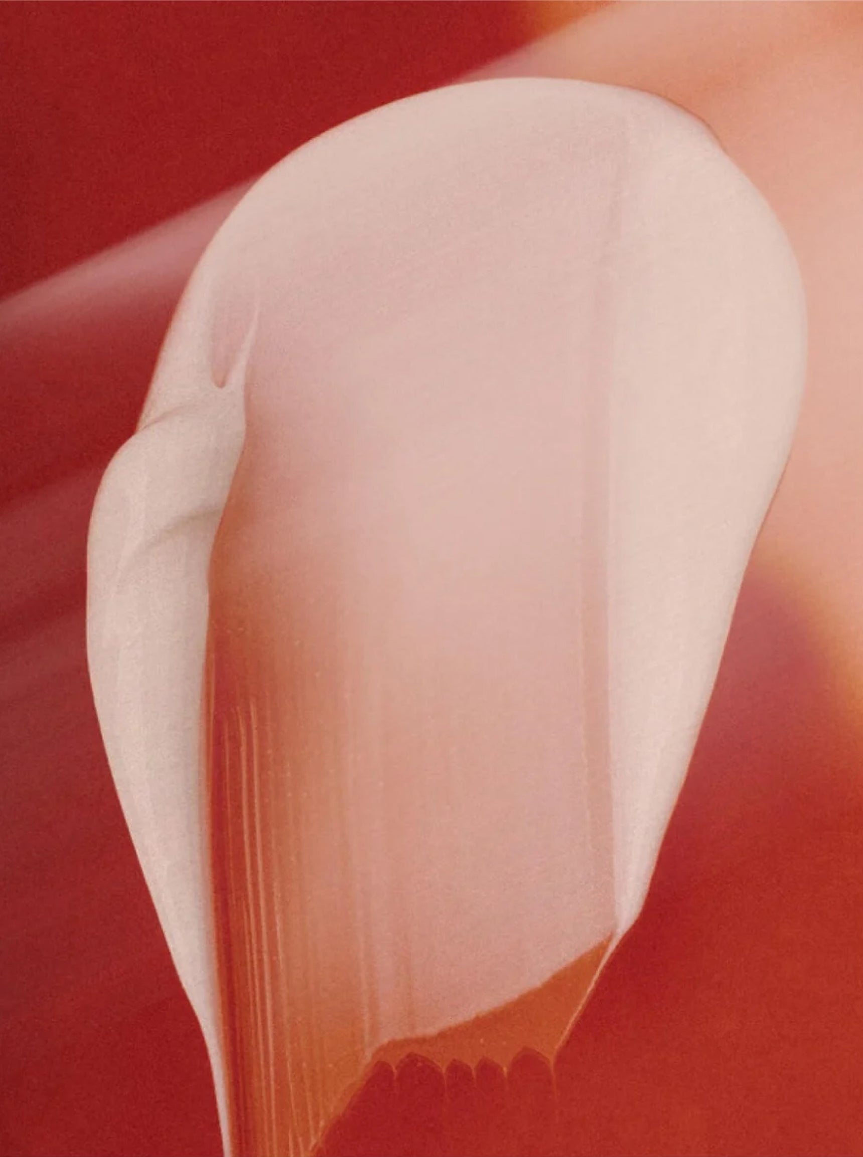 OVERNIGHT REPAIR™ Collagen Night Cream