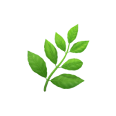 Chasteberry Fruit Extract