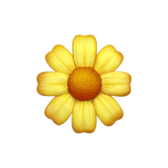 Evening Primrose Oil
