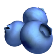THE CRANBERRY SHIELD